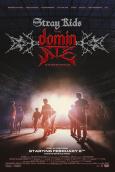 Stray Kids: The dominATE Experience Stray Kids: The dominATE Experience