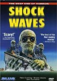 Shock Waves