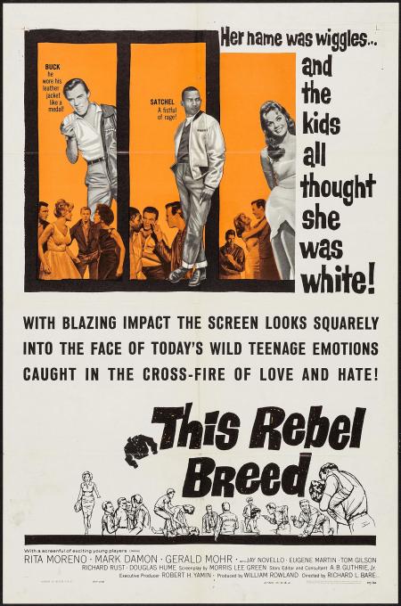 The This Rebel Breed aka Black Rebels