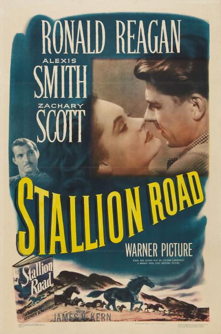 Stallion Road