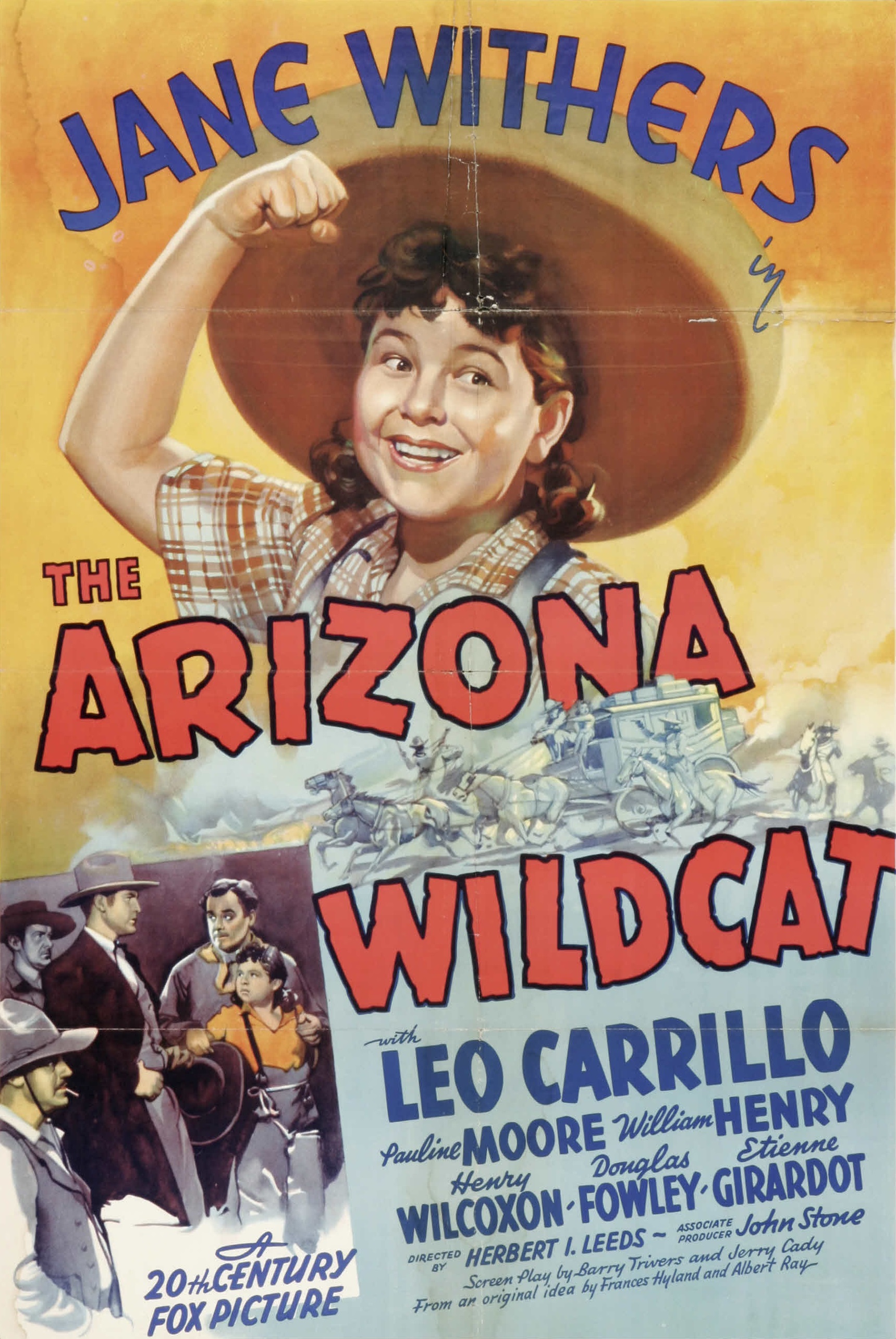 The Arizona Wildcat