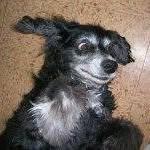 View Ben's profile Ben